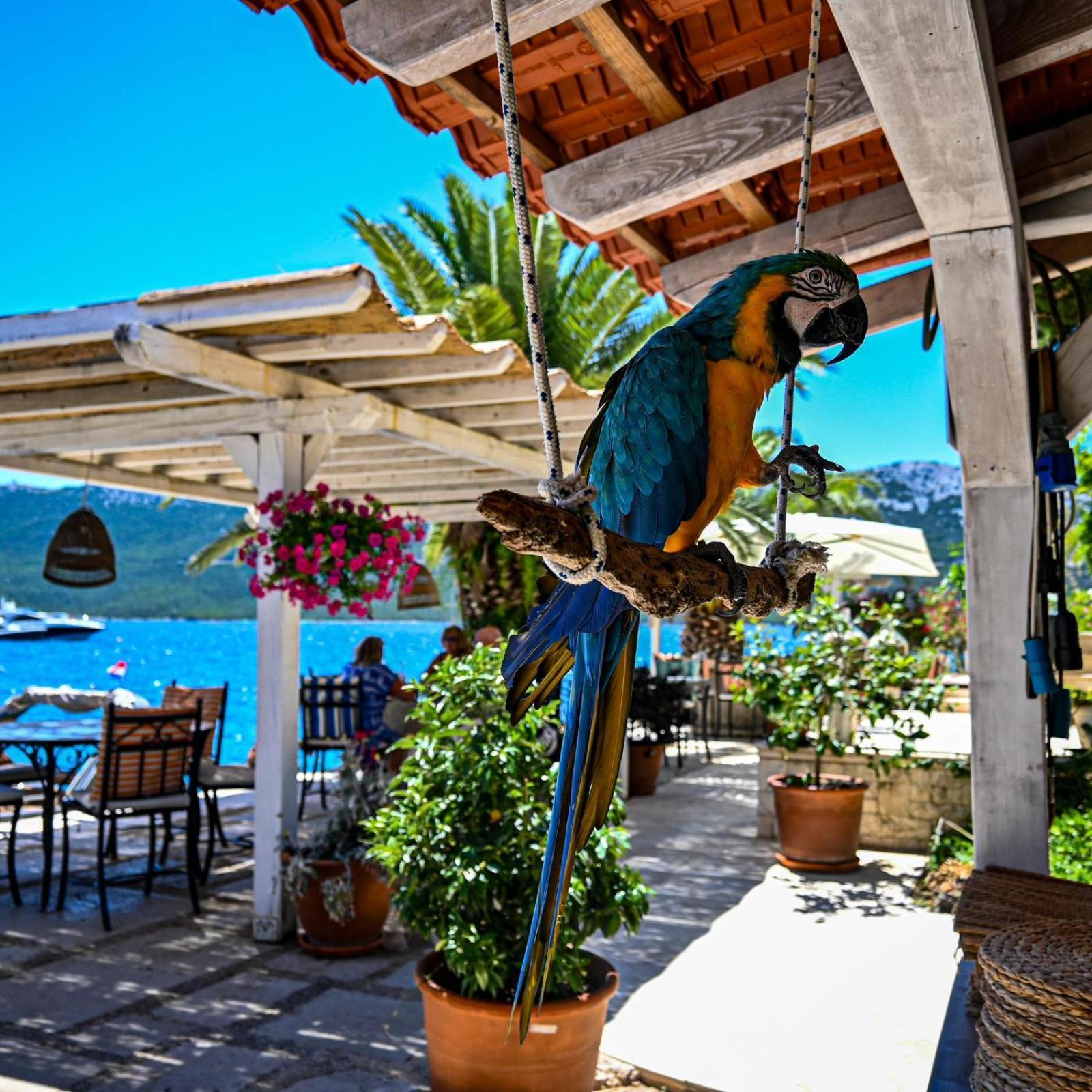 Villa Rava Hotel & Restaurant Экстерьер фото